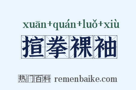 揎拳裸袖是什么意思的图片